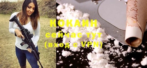 дживик Алзамай